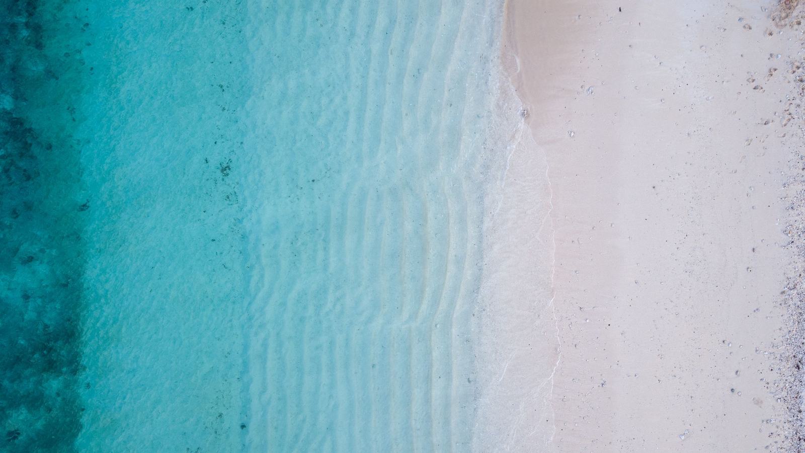 Aerial view of a Pacific coastline and mangrove edge